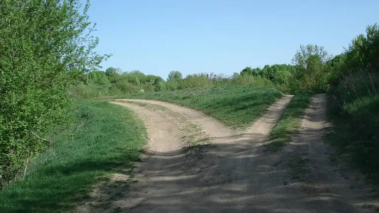 Feldweg, der sich auf einer Wiese gabelt