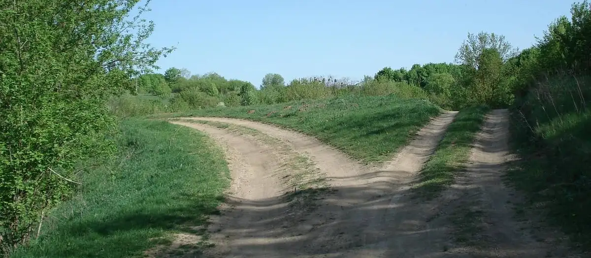 Feldweg, der sich auf einer Wiese gabelt